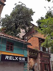 KUNMING - Le Vieux Quartier - 065